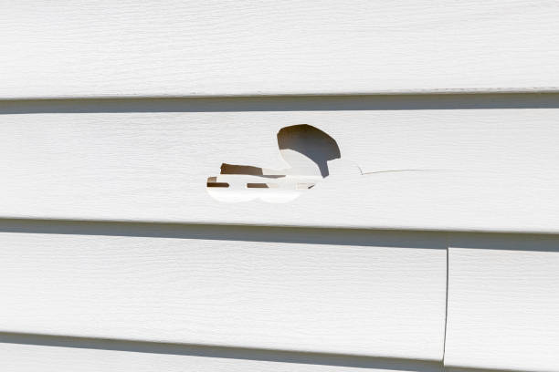 Best Storm Damage Siding Repair  in Madison, MN